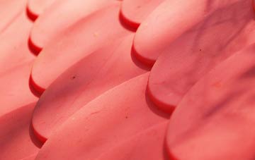 Monkerton plastic roof costs