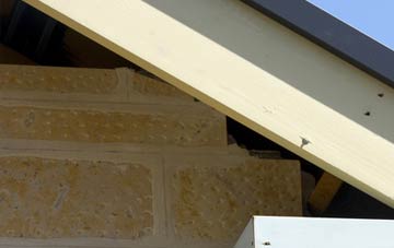 soffit repair Monkerton